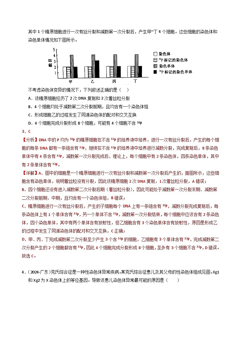 三年（2022-2024）高考生物真题分类汇编（全国通用）专题06 基因与染色体的关系（解析版）03