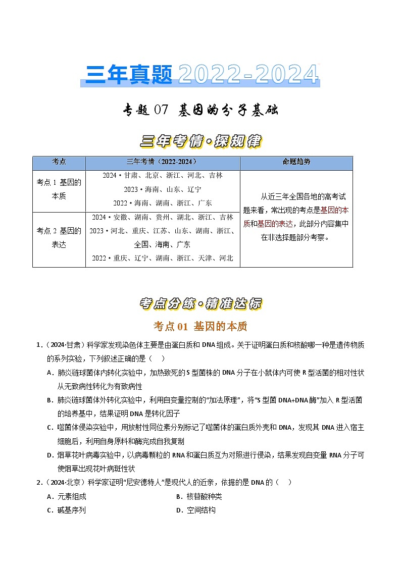 三年（2022-2024）高考生物真题分类汇编（全国通用）专题07 基因的分子基础（原卷版）01