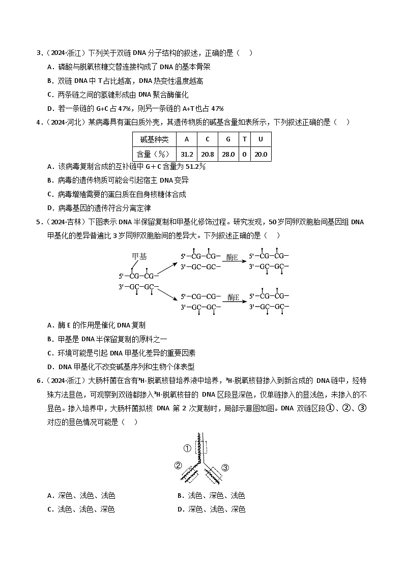 三年（2022-2024）高考生物真题分类汇编（全国通用）专题07 基因的分子基础（原卷版）02