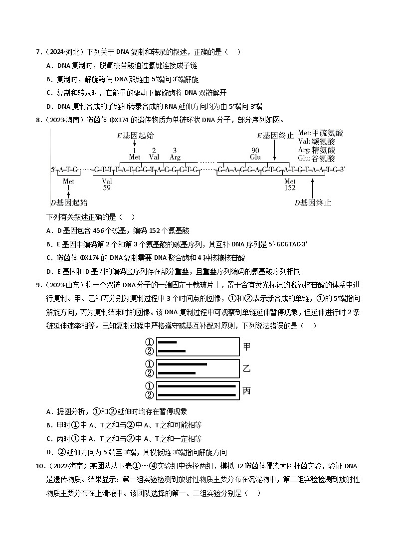 三年（2022-2024）高考生物真题分类汇编（全国通用）专题07 基因的分子基础（原卷版）03