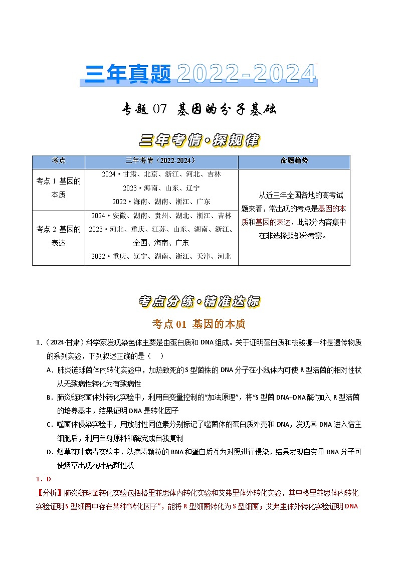 三年（2022-2024）高考生物真题分类汇编（全国通用）专题07 基因的分子基础（解析版）01