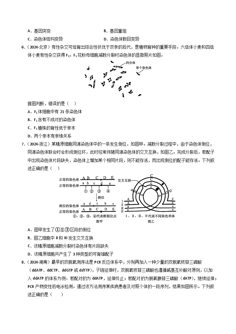 三年（2022-2024）高考生物真题分类汇编（全国通用）专题08 变异、育种和进化（原卷版）03
