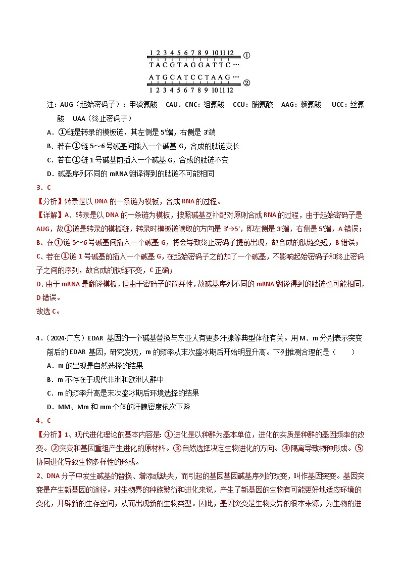 三年（2022-2024）高考生物真题分类汇编（全国通用）专题08 变异、育种和进化（解析版）03