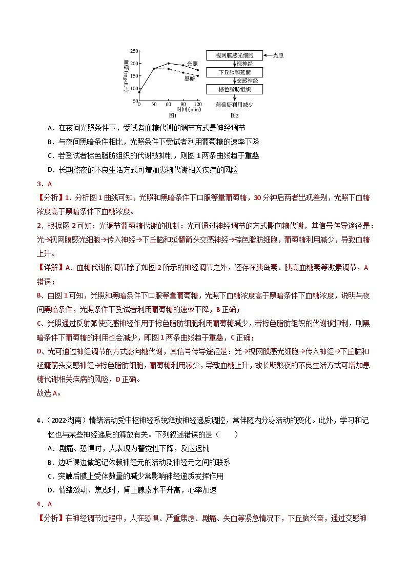 三年（2022-2024）高考生物真题分类汇编（全国通用）专题11 体液调节（解析版）03