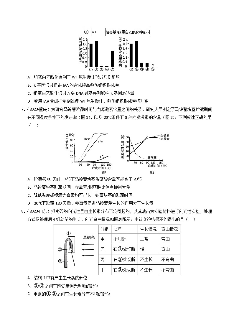 三年（2022-2024）高考生物真题分类汇编（全国通用）专题13 植物的激素调节（原卷版）03