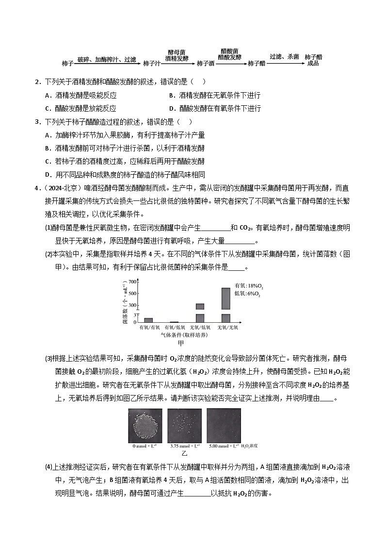 三年（2022-2024）高考生物真题分类汇编（全国通用）专题16 发酵工程（原卷版）02