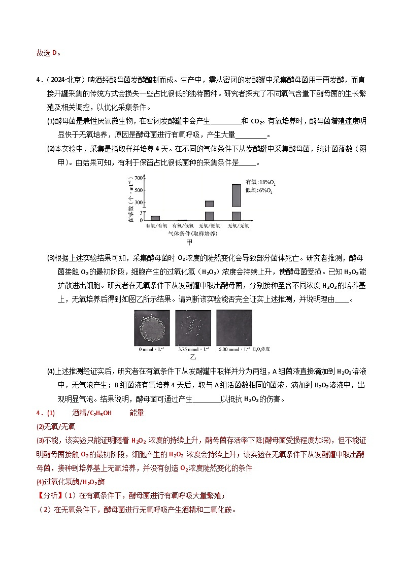三年（2022-2024）高考生物真题分类汇编（全国通用）专题16 发酵工程（解析版）03
