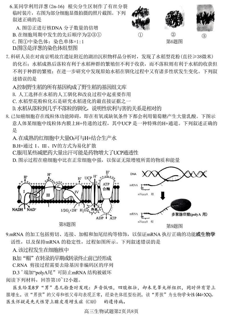 生物-浙江省七彩阳光新高考研究联盟2024学年第一学期8月返校联考试题和答案02