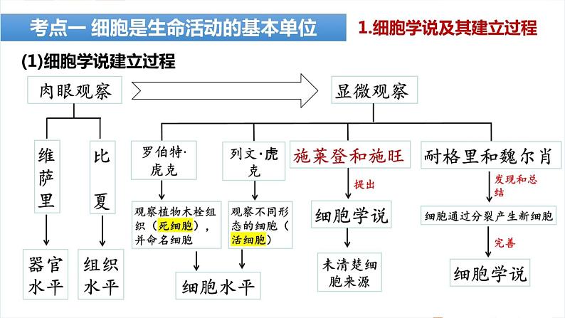 细胞是生命活动的基本单位课件08