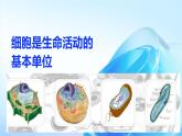 细胞是生命活动的基本单位课件