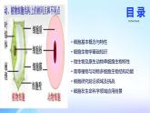 细胞是生命活动的基本单位课件