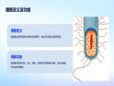 细胞是生命活动的基本单位课件