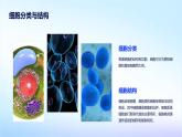 细胞是生命活动的基本单位课件