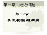 人教版 (新课标)必修1《分子与细胞》 1.1从生物圈到细胞课件