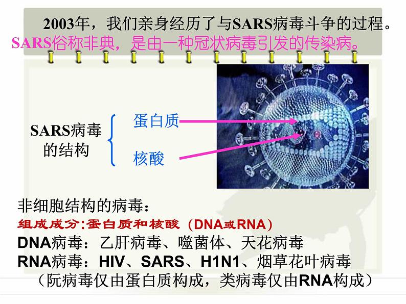 人教版 (新课标)必修1《分子与细胞》 1.1从生物圈到细胞课件02