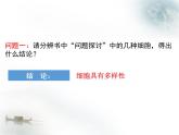 人教版 (新课标)必修1《分子与细胞》 1.2细胞的多样性和统一性课件