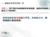 人教版 (新课标)必修1《分子与细胞》 1.2细胞的多样性和统一性课件