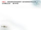 人教版 (新课标)必修1《分子与细胞》 1.2细胞的多样性和统一性课件
