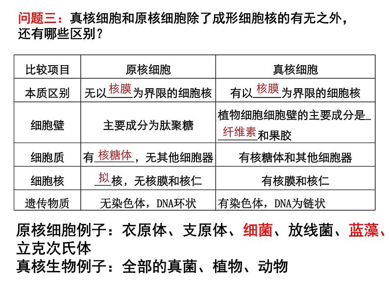 人教版 (新课标)必修1《分子与细胞》 1.2细胞的多样性和统一性课件07