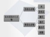 人教版 (新课标)必修1《分子与细胞》 2.1细胞中的元素和化合物课件