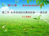 人教版 (新课标)必修1《分子与细胞》 2.2生命活动的主要承担者---蛋白质课件