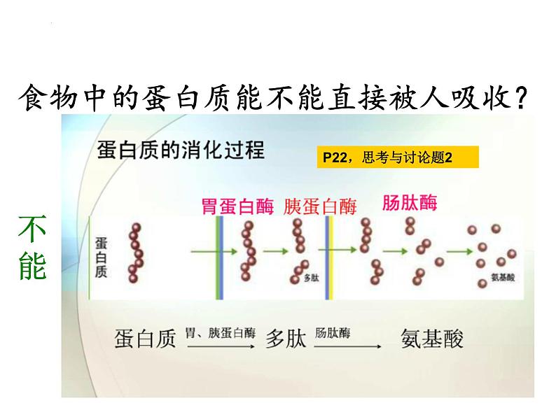 人教版 (新课标)必修1《分子与细胞》 2.2生命活动的主要承担者---蛋白质课件04