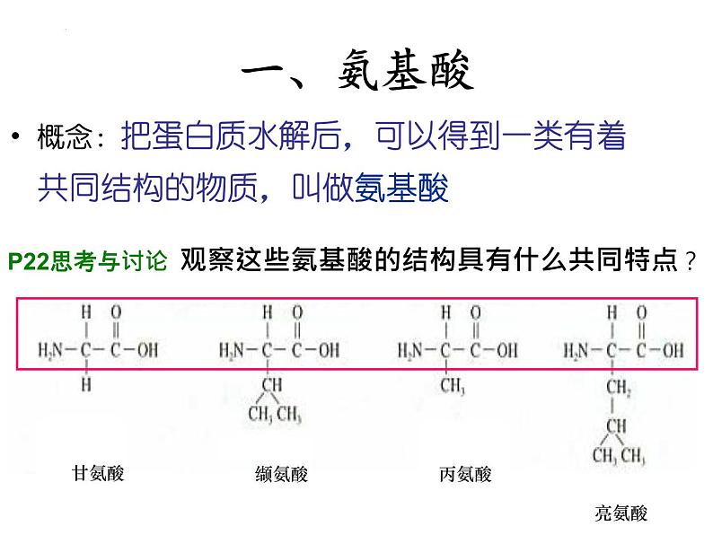 人教版 (新课标)必修1《分子与细胞》 2.2生命活动的主要承担者---蛋白质课件08