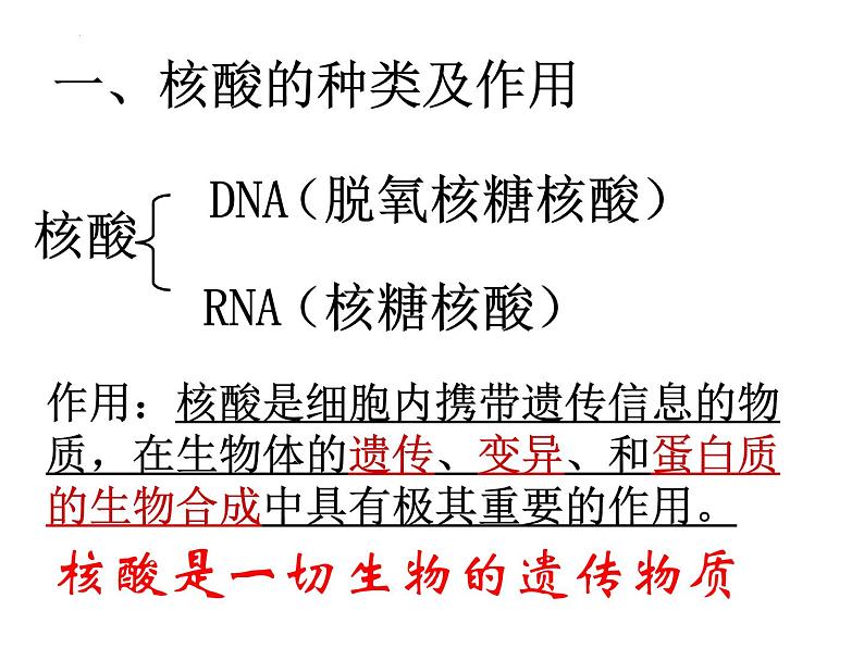 人教版 (新课标)必修1《分子与细胞》 2.3遗传信息的携带者--核酸课件04