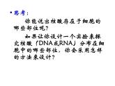 人教版 (新课标)必修1《分子与细胞》 2.3遗传信息的携带者--核酸课件