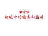 人教版 (新课标)必修1《分子与细胞》 2.4细胞中的糖类和脂质 课件
