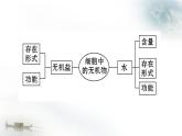 人教版 (新课标)必修1《分子与细胞》 2.5细胞中的无机物课件
