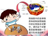 人教版 (新课标)必修1《分子与细胞》 3.1  细胞膜——系统的边界  课件