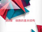 人教版 (新课标)必修1《分子与细胞》 3.1  细胞膜——系统的边界  课件
