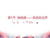 人教版 (新课标)必修1《分子与细胞》 3.1  细胞膜——系统的边界  课件