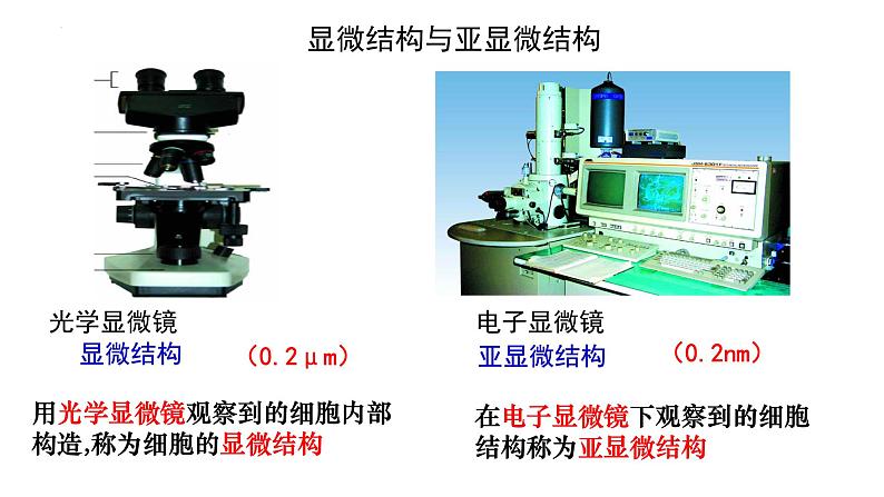 人教版 (新课标)必修1《分子与细胞》 3.2细胞器-系统内的分工合作（共2课时）课件03