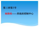 人教版 (新课标)必修1《分子与细胞》 3.3细胞核——系统的控制中心课件