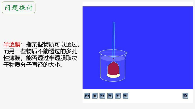 人教版 (新课标)必修1《分子与细胞》 4.1 物质跨膜运输的实例   课件02