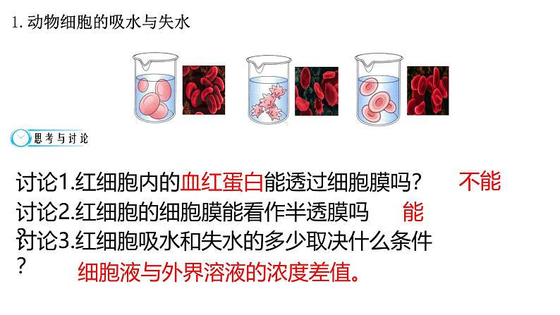 人教版 (新课标)必修1《分子与细胞》 4.1 物质跨膜运输的实例   课件07