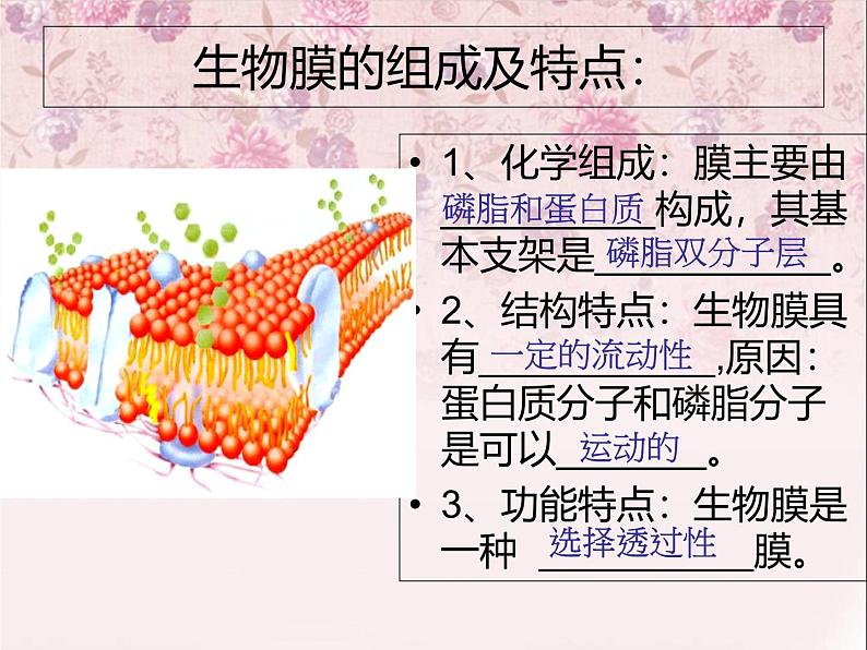 人教版 (新课标)必修1《分子与细胞》 4.3物质跨膜运输的方式课件01