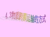 人教版 (新课标)必修1《分子与细胞》 4.3物质跨膜运输的方式课件