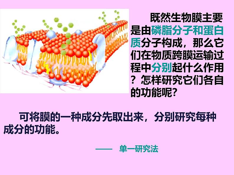 人教版 (新课标)必修1《分子与细胞》 4.3物质跨膜运输的方式课件03