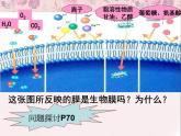 人教版 (新课标)必修1《分子与细胞》 4.3物质跨膜运输的方式课件