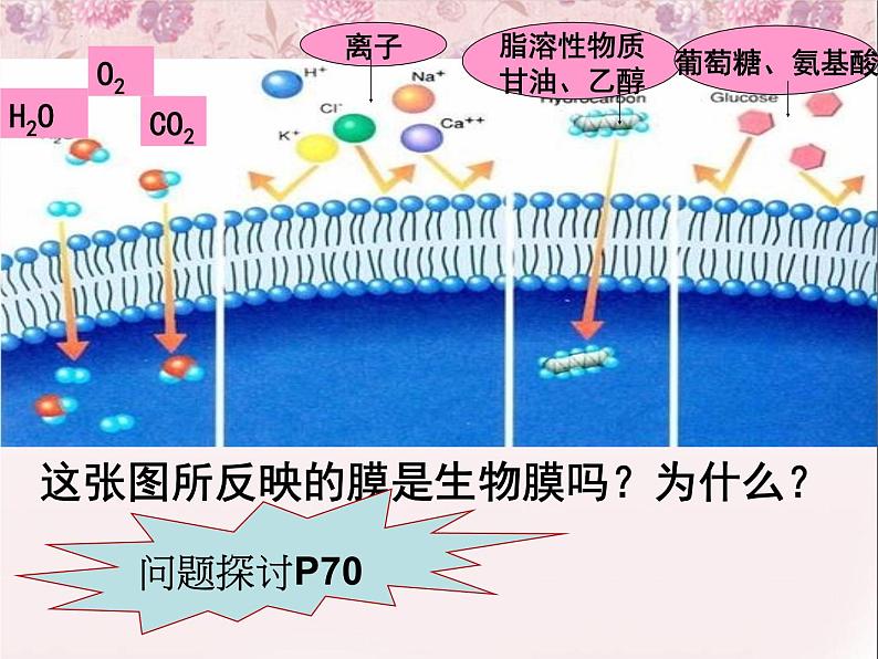 人教版 (新课标)必修1《分子与细胞》 4.3物质跨膜运输的方式课件04