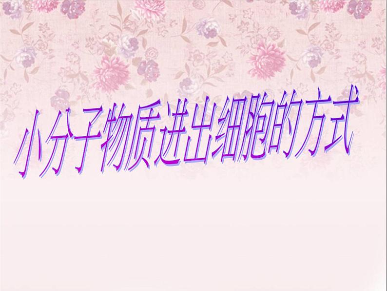 人教版 (新课标)必修1《分子与细胞》 4.3物质跨膜运输的方式课件05