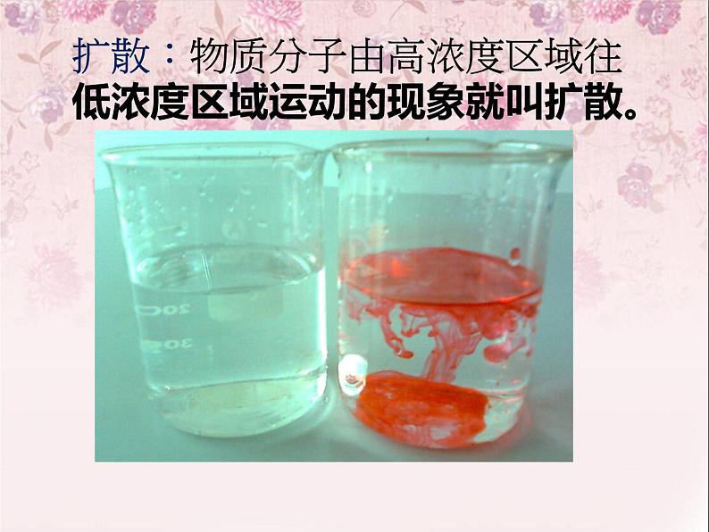 人教版 (新课标)必修1《分子与细胞》 4.3物质跨膜运输的方式课件06