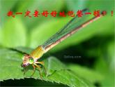 人教版 (新课标)必修1《分子与细胞》 5.1降低化学反应活化能的酶 课件