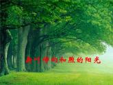 人教版 (新课标)必修1《分子与细胞》 5.1降低化学反应活化能的酶 课件