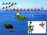 人教版 (新课标)必修1《分子与细胞》 5.1降低化学反应活化能的酶 课件