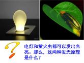 人教版 (新課標(biāo))必修1《分子與細胞》 5.2細胞的能量“通貨”—ATP 課件
