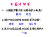 人教版 (新課標(biāo))必修1《分子與細胞》 5.2細胞的能量“通貨”—ATP 課件
